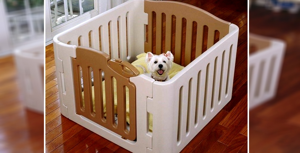 Dog Playpen