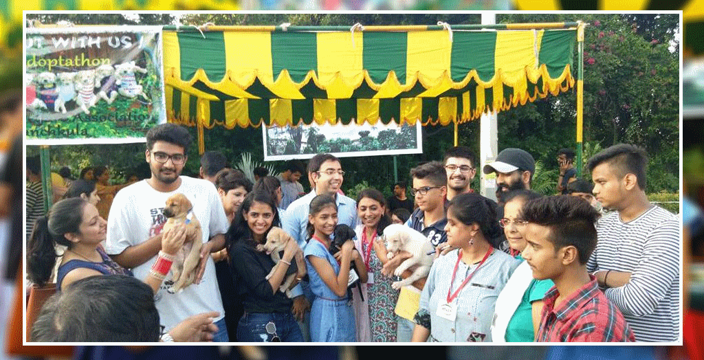 Awareness And Adoption Event in Panchkula