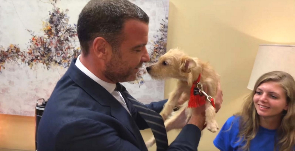 Liev Schreiber Adopts Two Dogs