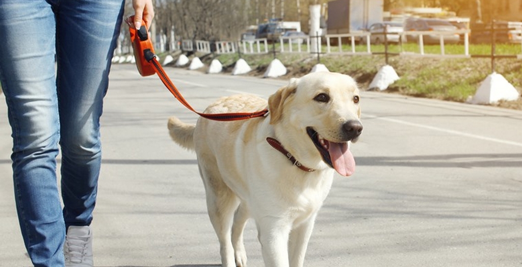 Don’t Clean Up After