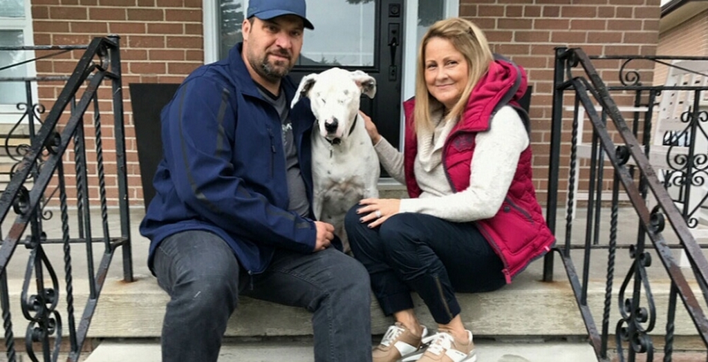 Blind dog adopted