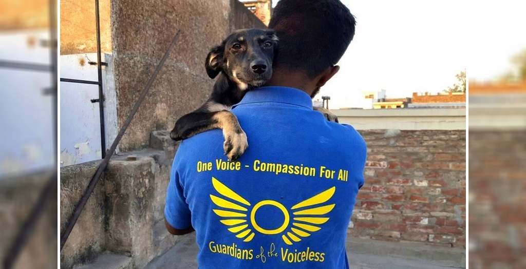 Guardians Of The Voiceless