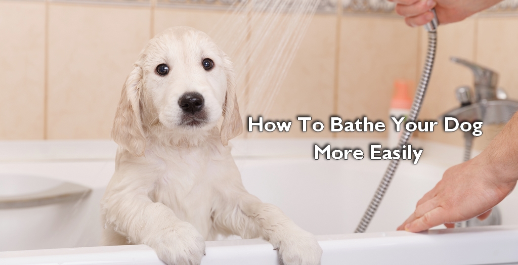 How To Bathe Your Dog More Easily