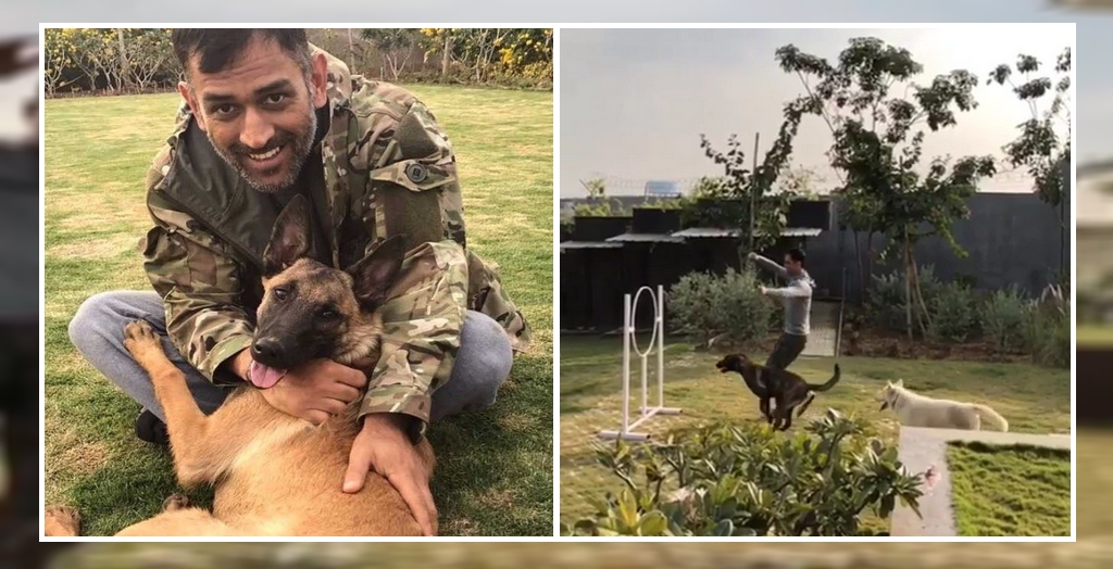 MS Dhoni with his pet dogs