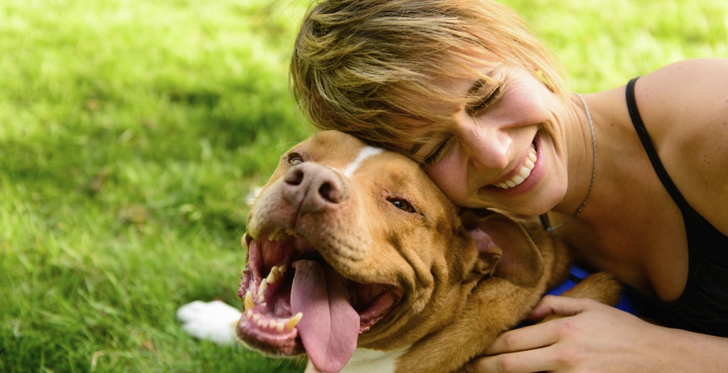 dog with smiling owner