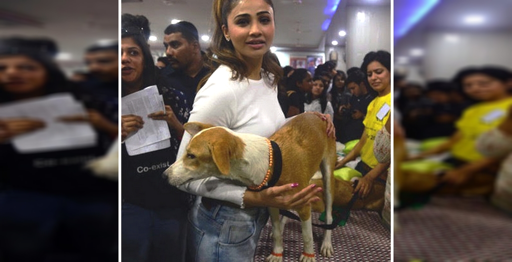 Daisy Shah Adopts An Indian Dog
