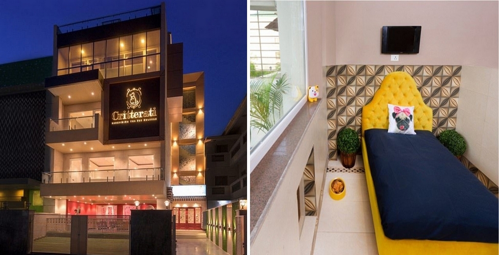 Critterati India's First Luxury Hotel