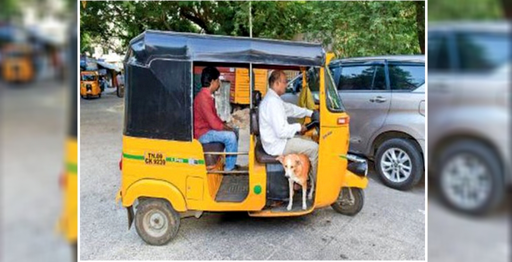 Auto Rickshaw Driver Travels 1 Lakh Kilometer With His Pet Dog