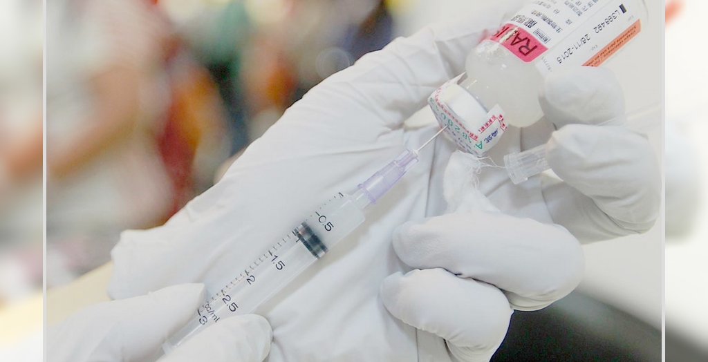 Dog Bite Vaccine Goes Out Of Stock