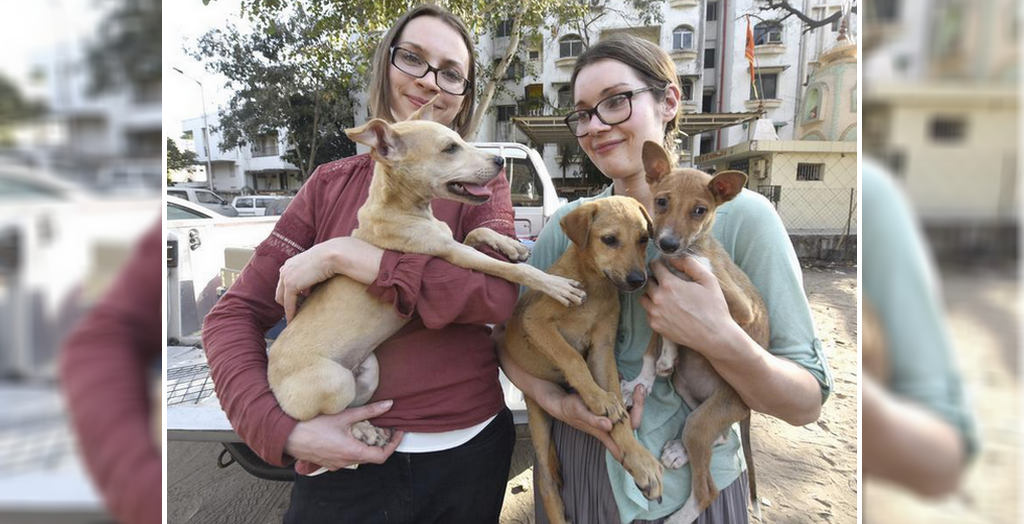 Foreginers adopted stray dogs from India