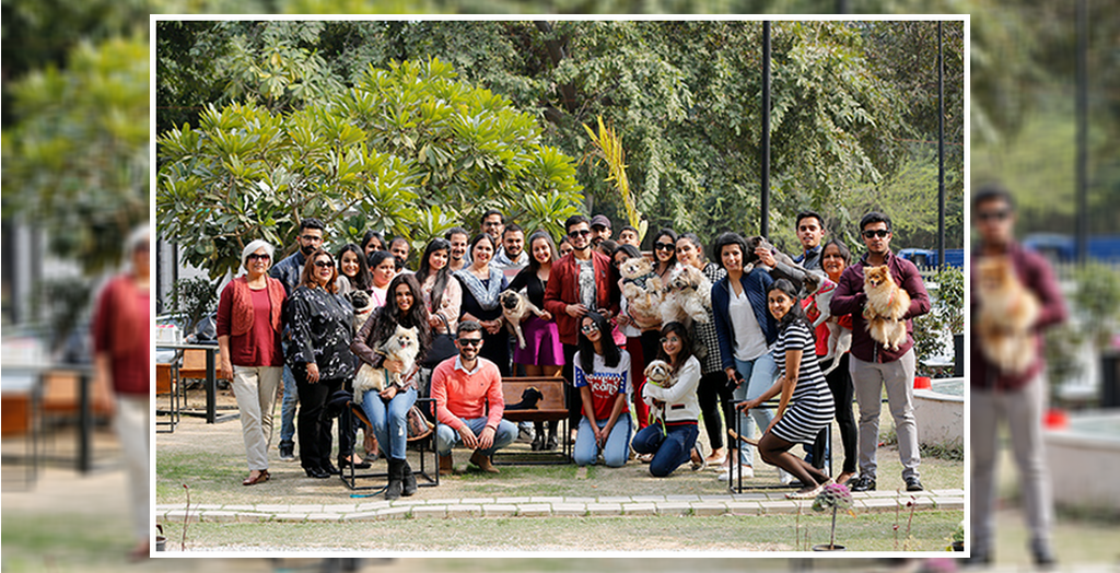 pet friendly restaurants