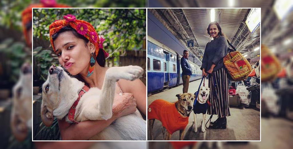 Delhi Woman Exploring India With Her Dogs