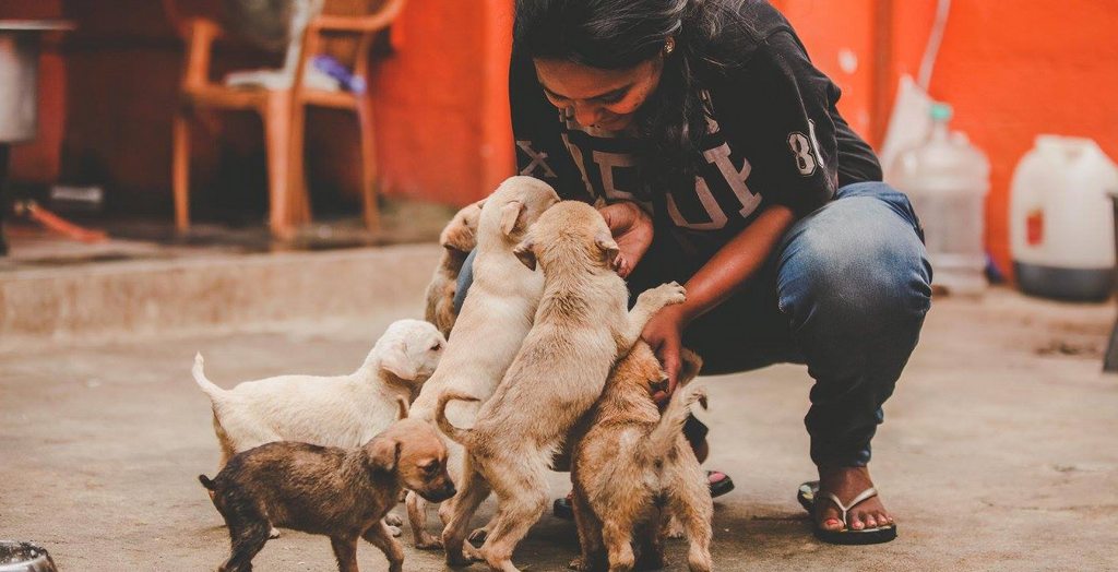 Second Chance Adoption Centre