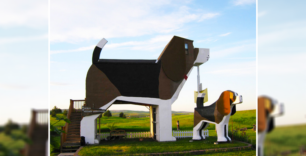 World bigguest dog house