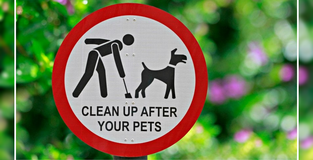 Clean up after your pets pop