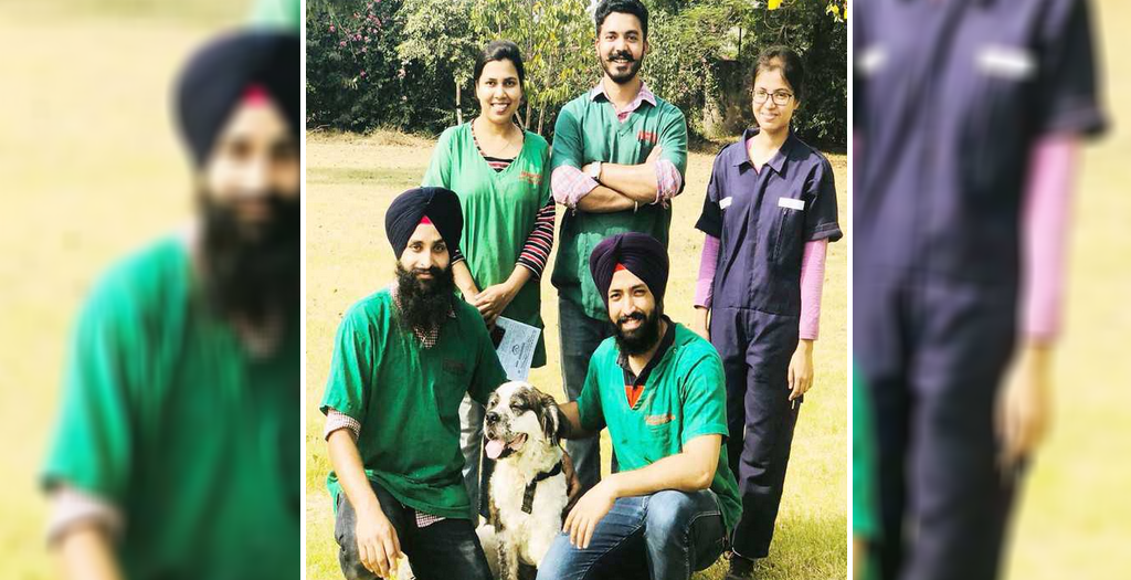 Abandoned Sick St. Bernard