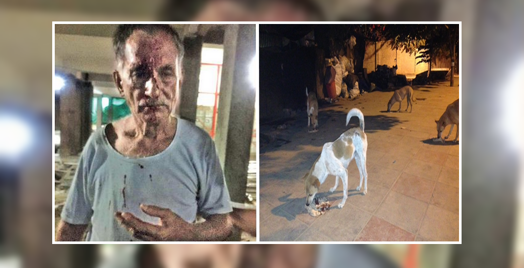Ex-Soldier Beaten Up For Feeding Stray