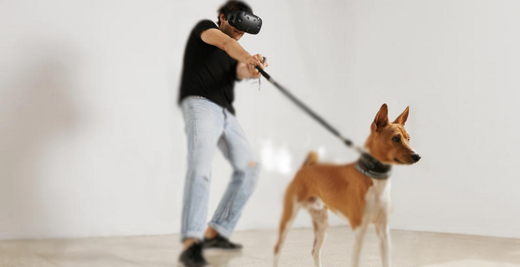 VR with Dog