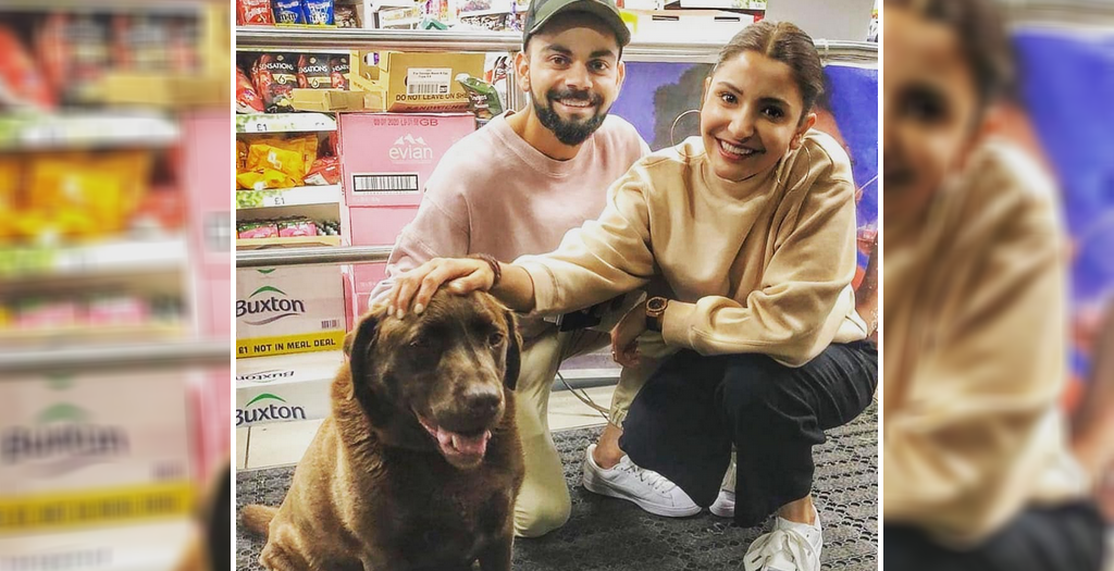 Virat and Anushka Love for dogs