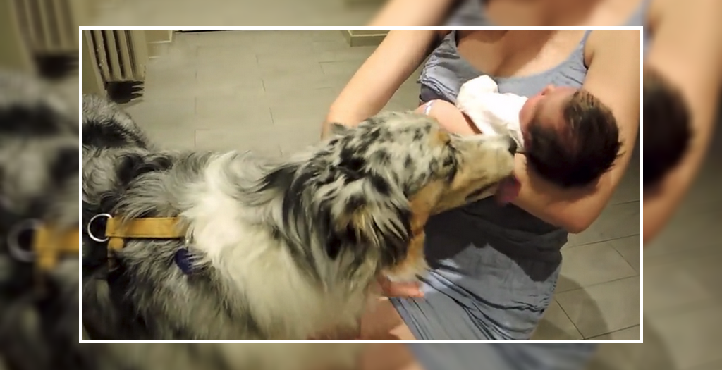 dog welcome newborn baby girl