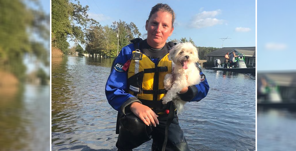 Rescue Team Saved A Dog