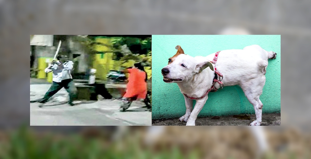 Man Beats Woman As Her Dogs Urinates Over His Wall In Chennai