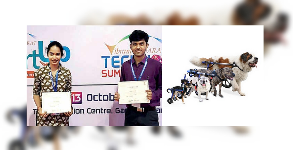 Wheelchair for dogs in India