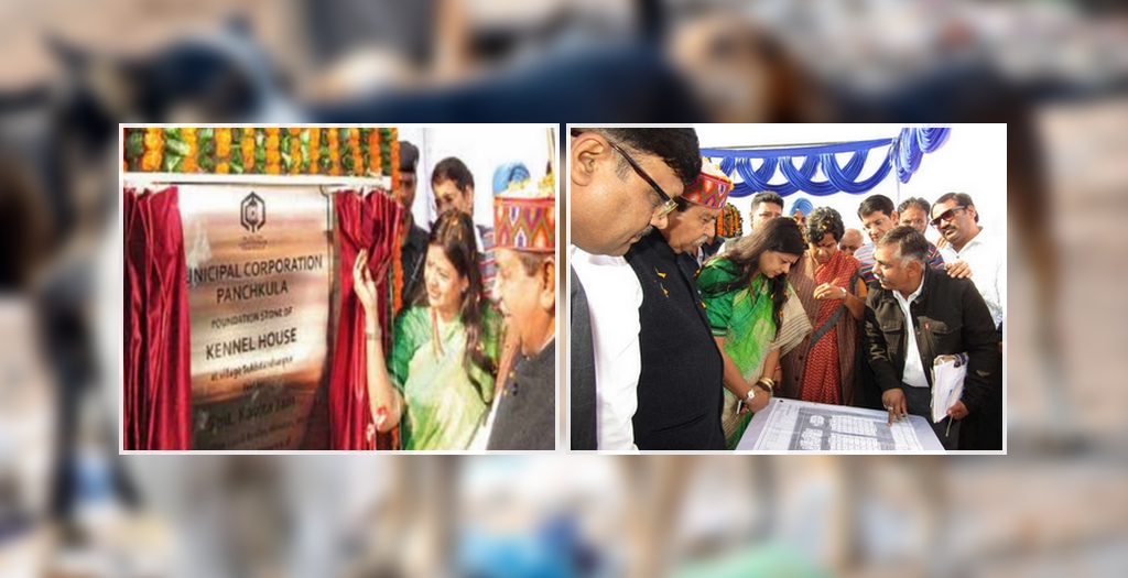 Dog rehabilitation centre in Panchkula