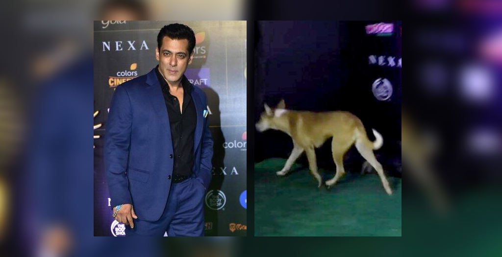 Salman Khan at IIFA 2019