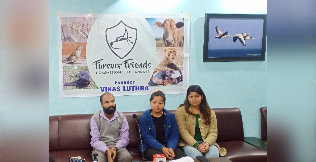 Court Begins the Trial of Nayagaon Dog Cruelty Case