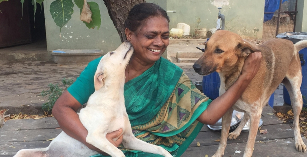 Tamil Nadu Woman Looks After 60 Dogs on Low Income