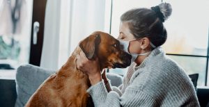 How to take Care of your Dogs amid COVID-19 Lockdown?