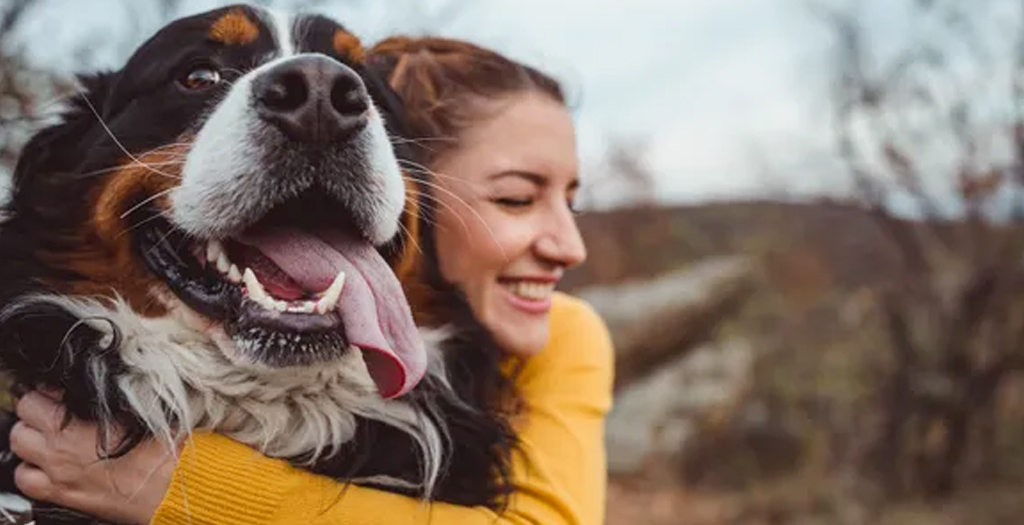Decoding Canine Bliss: 15 Happy Dog Indicators