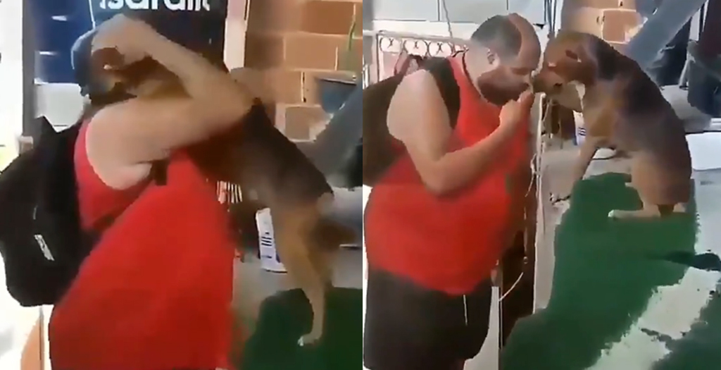 Pet Dog Greets his Hooman with a Hug in Adorable Viral Video