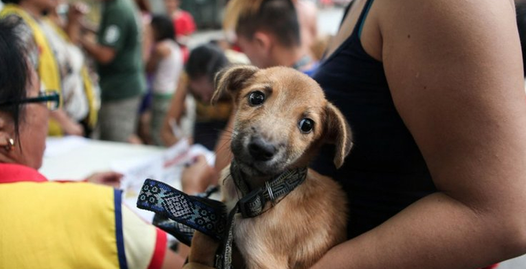 Collaborate, Vaccinate’, is the theme for this year’s World