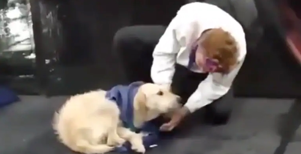 Man takes Off Sweater to Cover Dog at Bus Stop.