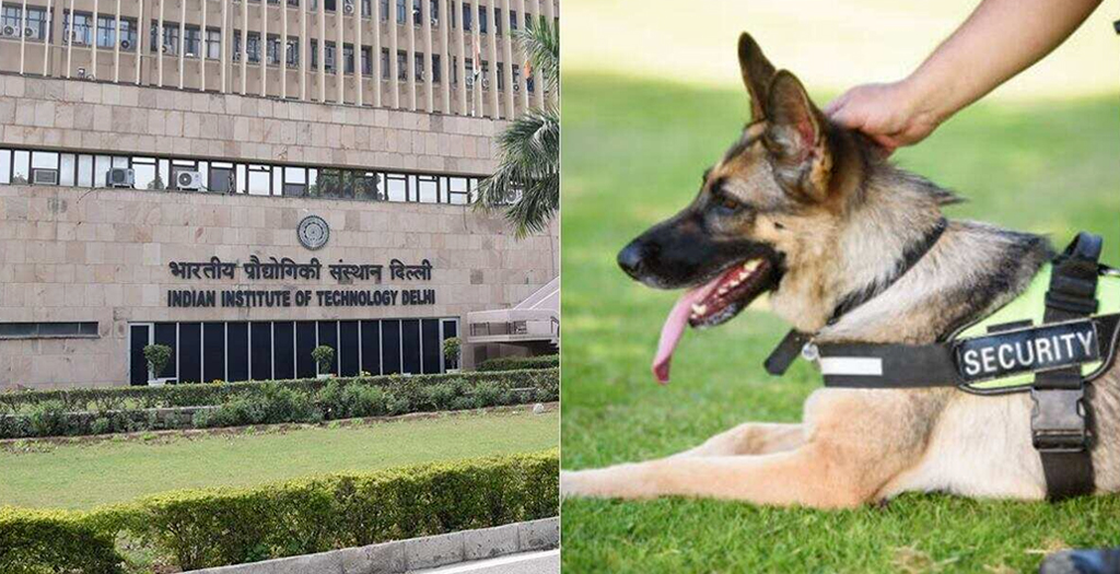IIT-Delhi ad for Dog Handler Post Garnered Attention on Social Media