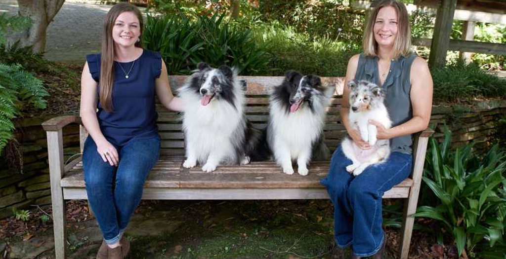 New Research Identifies Genetic Factors Contributing to Small Body Size in Dogs