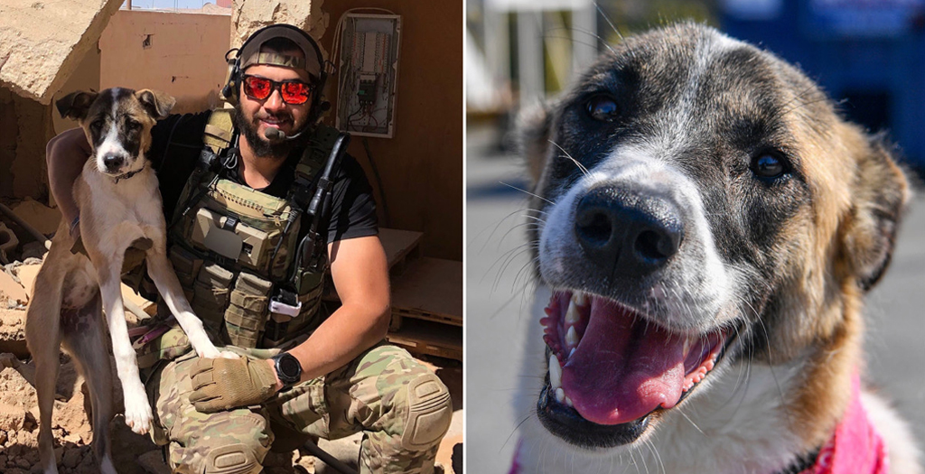 Combat Vet Soon to be Reunited with beloved Syrian Rescue Dog