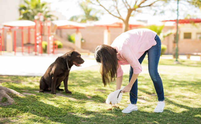 How To Be A Responsible Pet Parent? Scoop Up Your Dog's Poop!