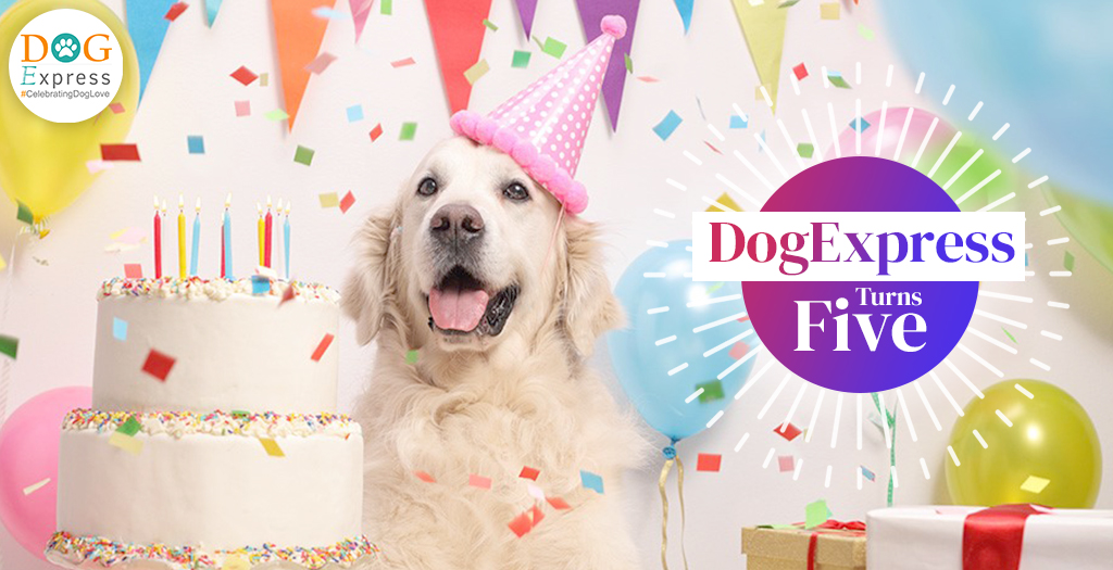 DogExpress Turns five! The Largest Dog Lovers Community in India