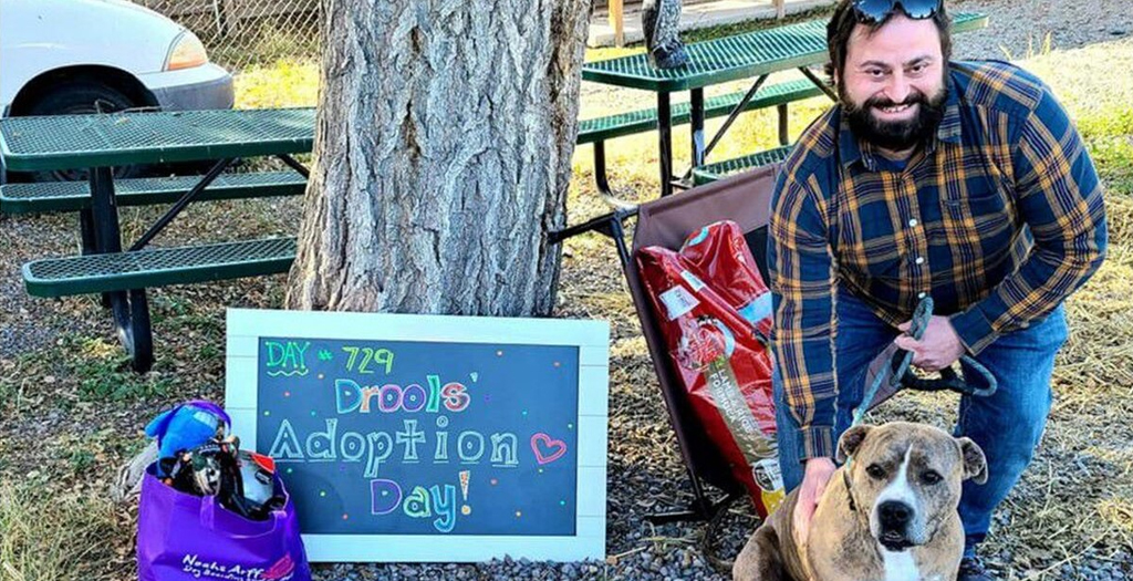 Delaware Shelter Dog Adopted After 866 Days Will Spend Holidays with a 'Family of Her Very Own'