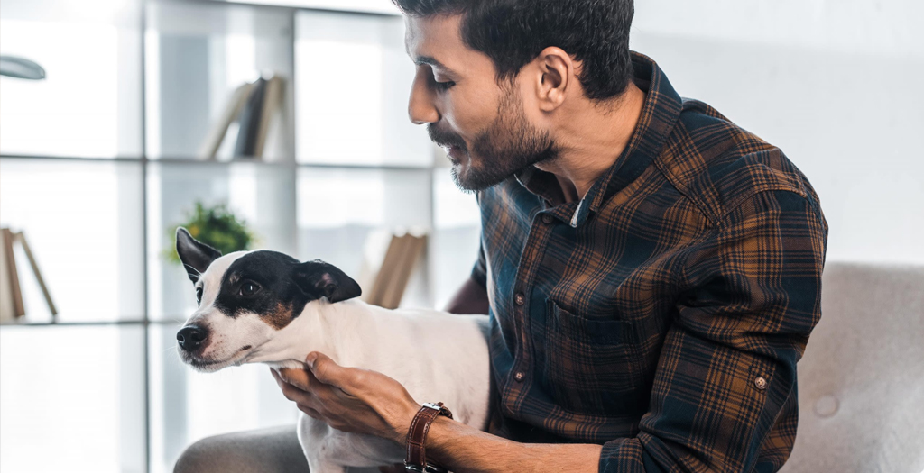 What to Do if Your Dog Hates Your New Partner