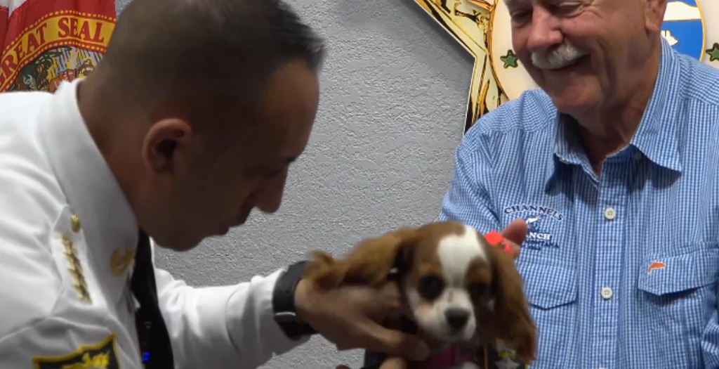 A Puppy Rescued from the Jaws of Alligator has been Honored as a 'Deputy Dog'