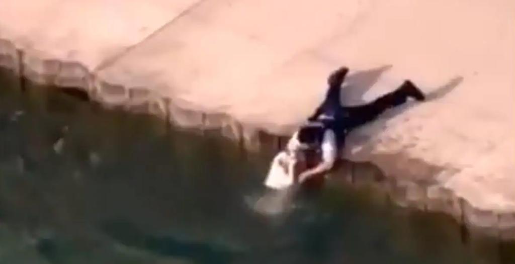 Police Officer Saves Dog from Drowning in Lake Michigan