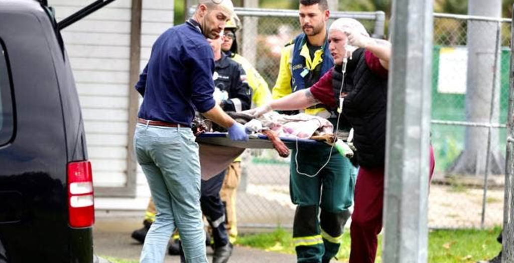 Police Dogs 'just like one of us', Union says after Dog Shot in Northland