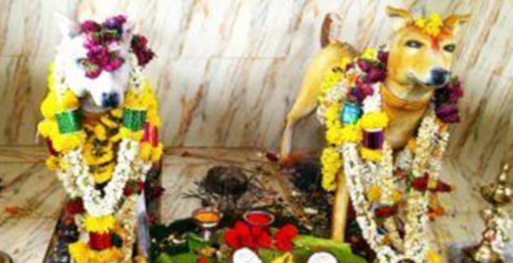 There’s A Temple For Dogs That All Dog Lovers Can Visit In India