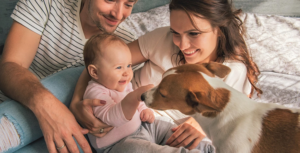 Ten Tips for Safely Introducing Your Baby To Your Dog
