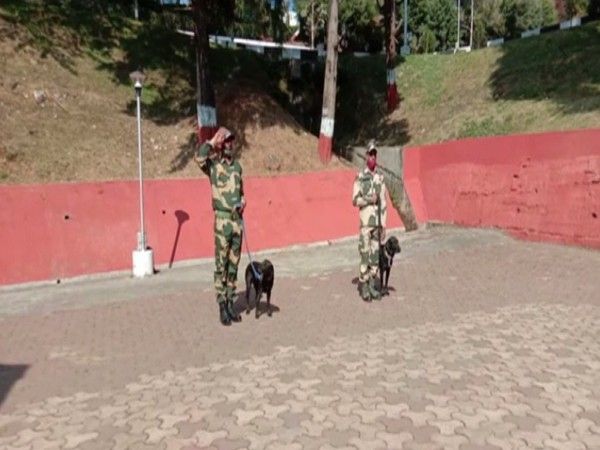 BSF To Train 2 Indian Dog Breeds For Border Patrolling