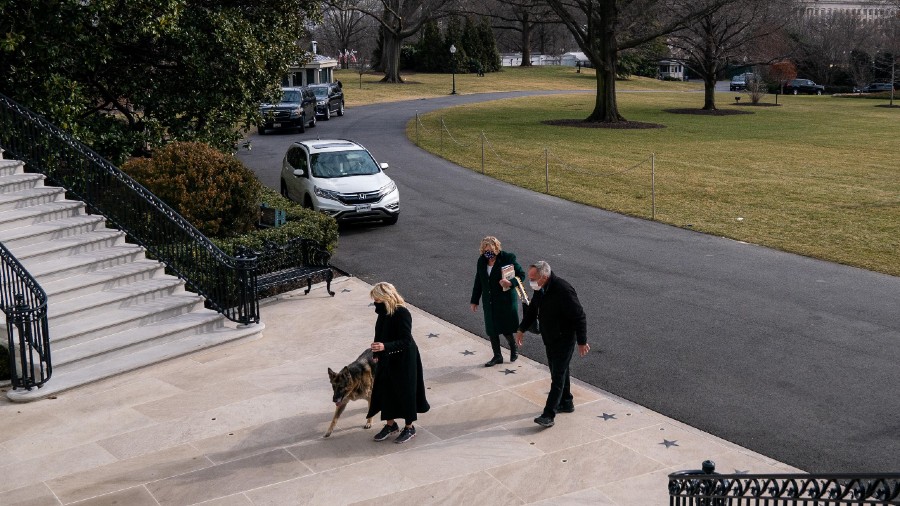 Biden’s Dogs Join him at White House
